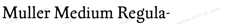 Muller Medium Regula字体转换